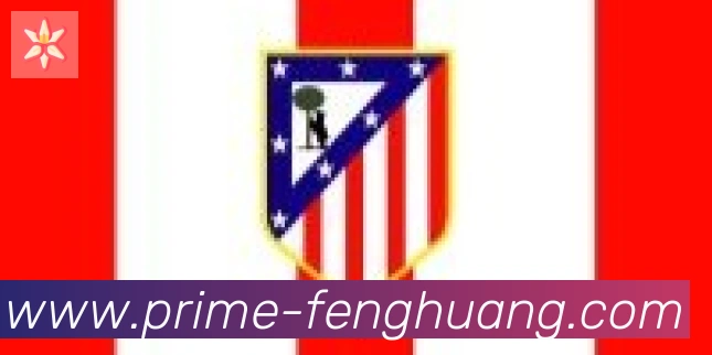 凤凰体育合作伙伴
